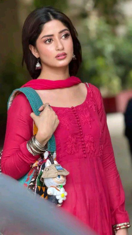 Pakistani Celebs image