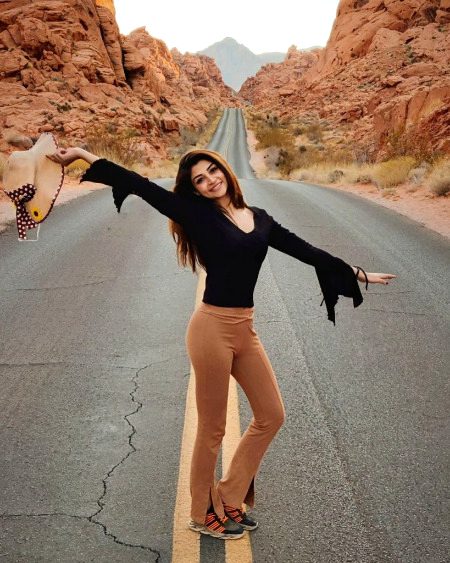 Pakistani Celebs image