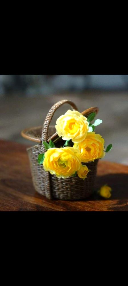 Beautiful Nature image