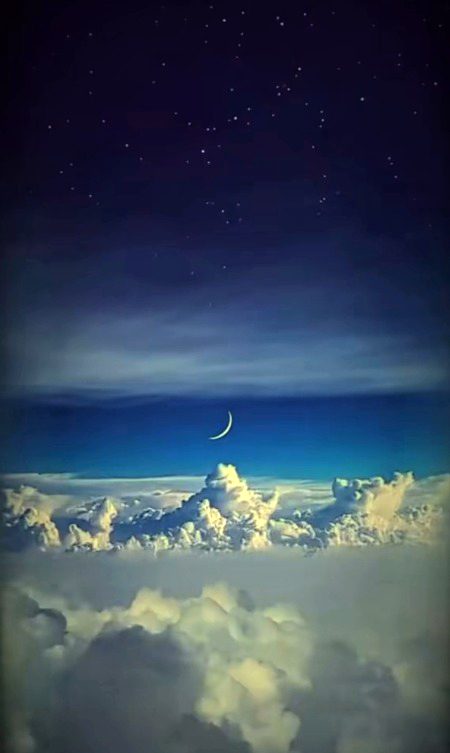 ...✔️✔️✔️...