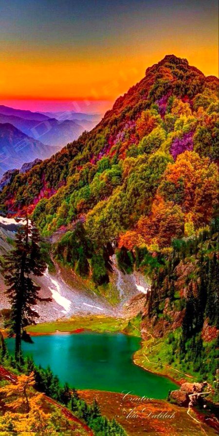 Beautiful Nature image