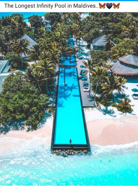 Beautiful Nature image