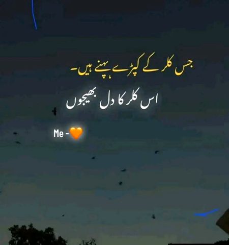 Memes & Satire image