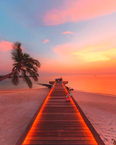 Beautiful Nature image