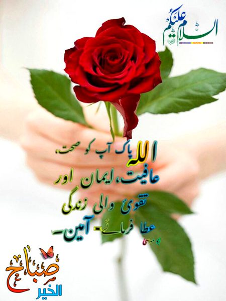 Islamic Quotes image