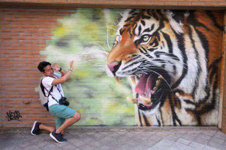 Street Art image