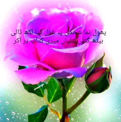 Romantic Poetry image