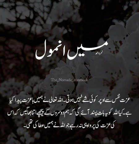 Romantic Novels image