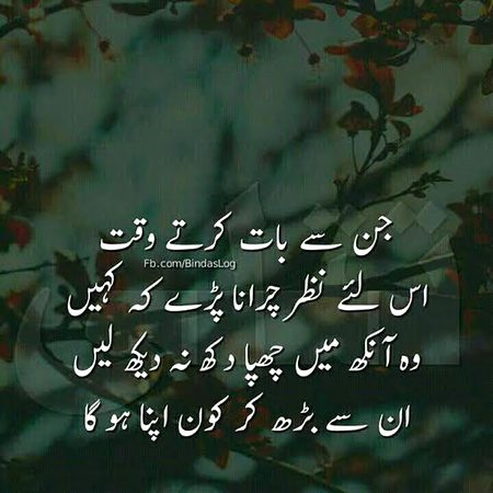 In sy Barh Kar Kon Apna Hoga🙃🥺