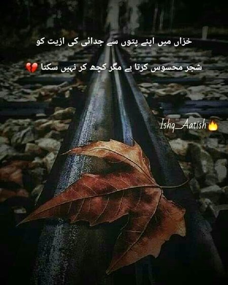 Sad Poetry image