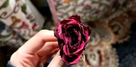 کسی ایک شخص کے بچھڑتے ہی آپ کا ایک حصہ خاموشی سے مر جاتا ہے!!!🖤🥀🍂