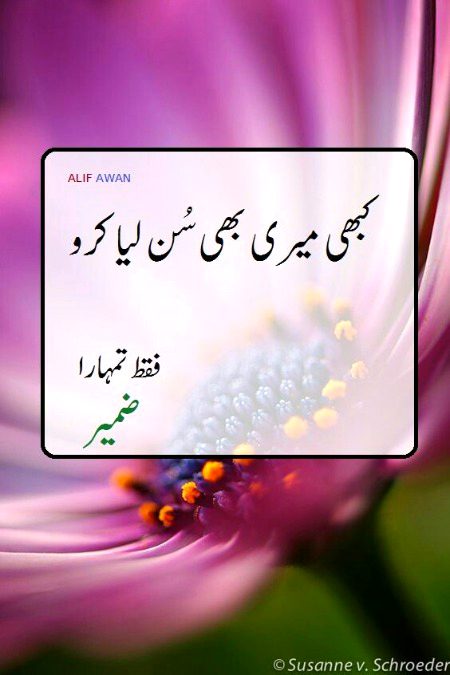 Motivational Quotes image