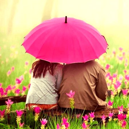 Beautiful Nature image