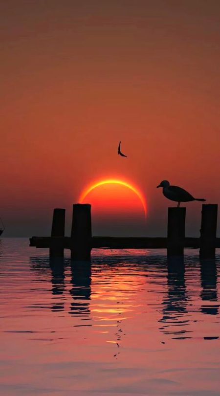 Beautiful Nature image