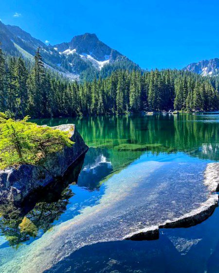 Beautiful Nature image