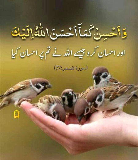 Islamic Quotes image