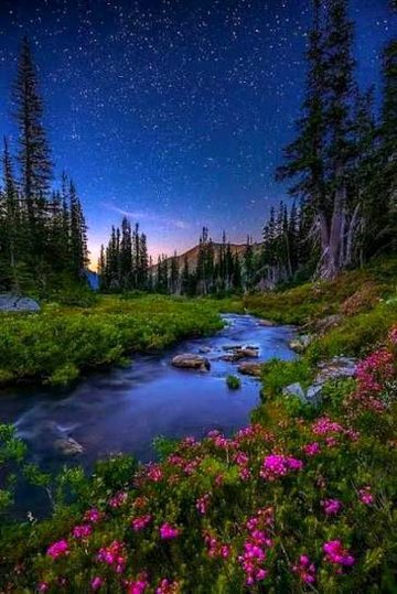 Beautiful Nature image