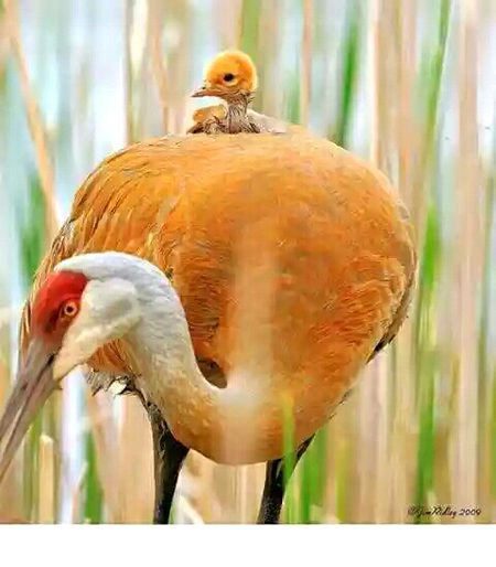 Beautiful Nature image