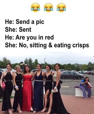 Memes & Satire image