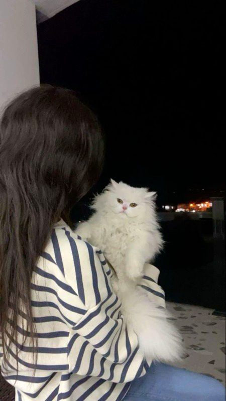 دلچسپی ختم ہو جانا نفرت سے زیادہ تلخ ہے 🖤🙂