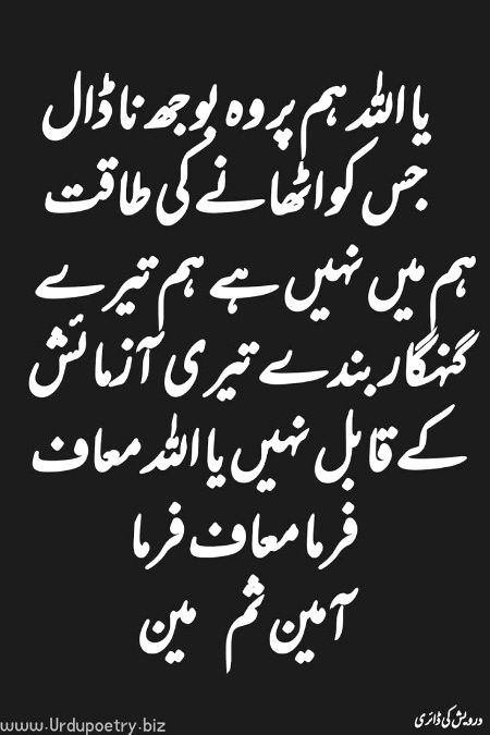 آمین یارب العالمین 🌺❣️🌺