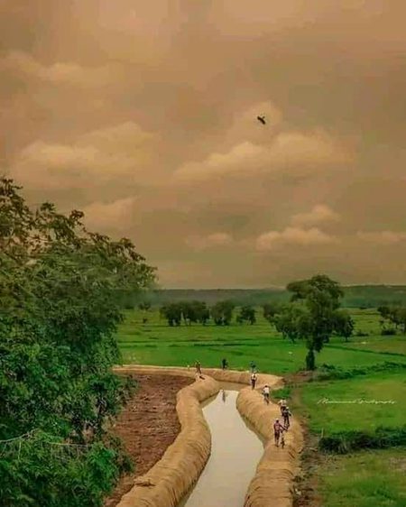 Beautiful Nature image