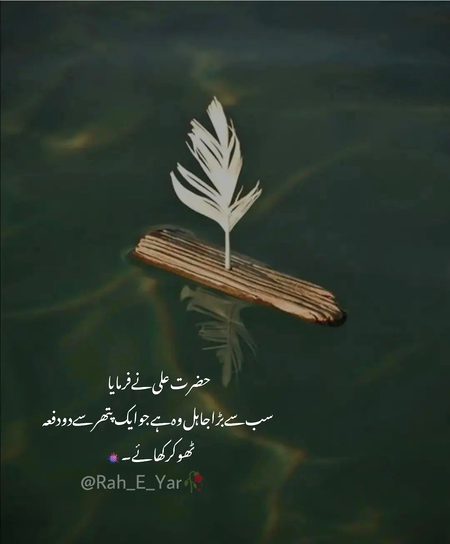 Hmm right 💯💯💯💯👍👍🙂