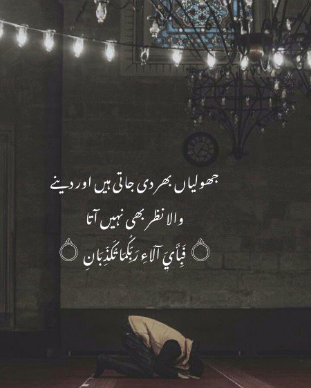 No Caption 🌺🌺🌺