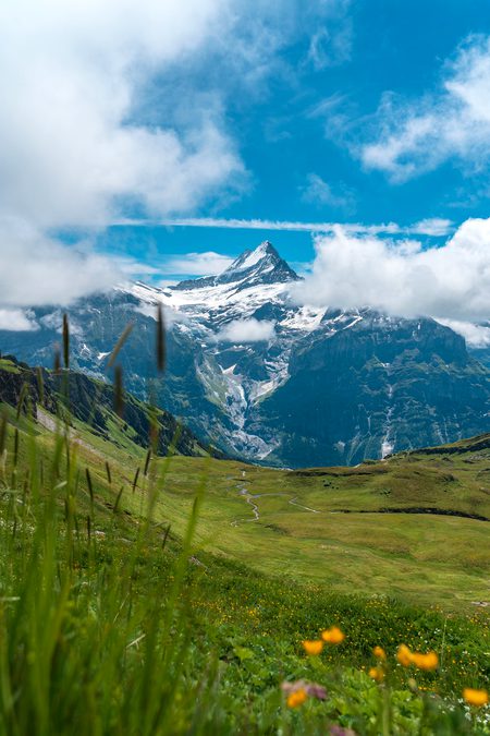 Beautiful Nature image