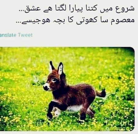 Jokes image