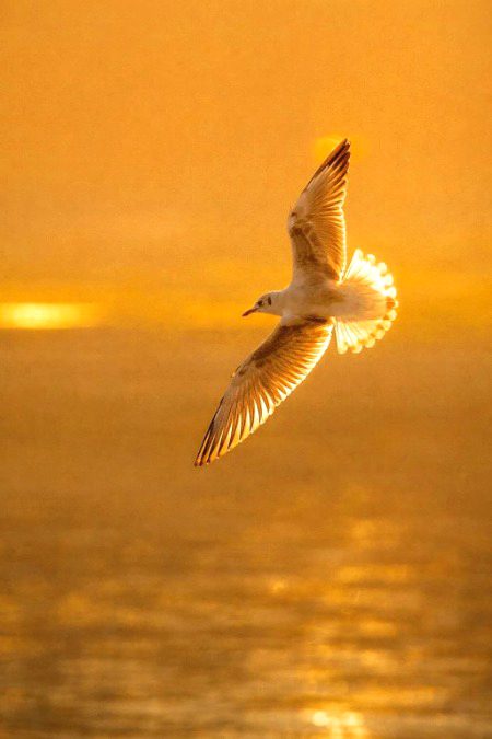 Step back for a while, work quietly, and let others wonder where you’ve gone.