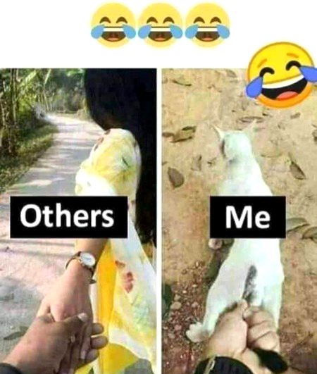 Memes & Satire image