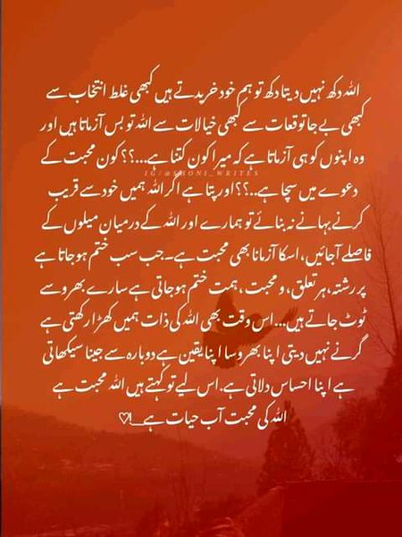 Islamic Quotes image