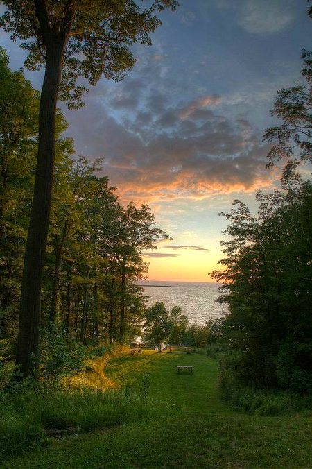 Beautiful Nature image