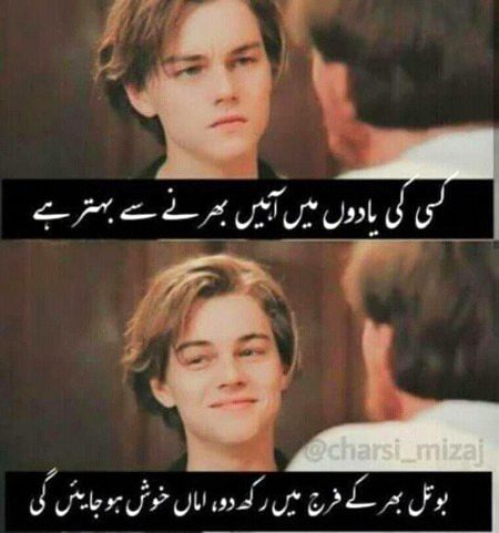 Memes & Satire image