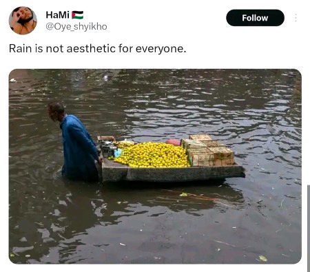 Memes & Satire image