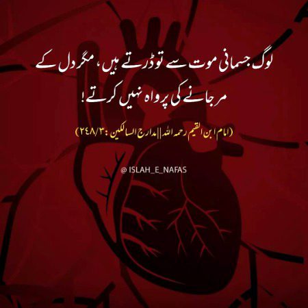 BE SHAK