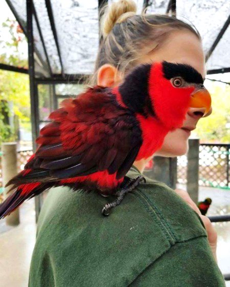 Beautiful Nature image