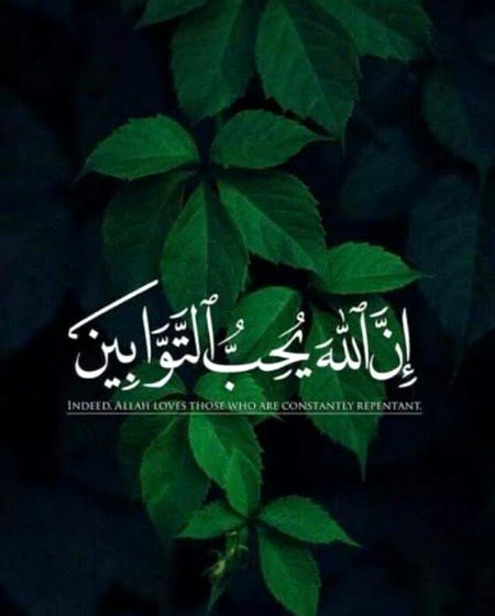 Islamic Quotes image