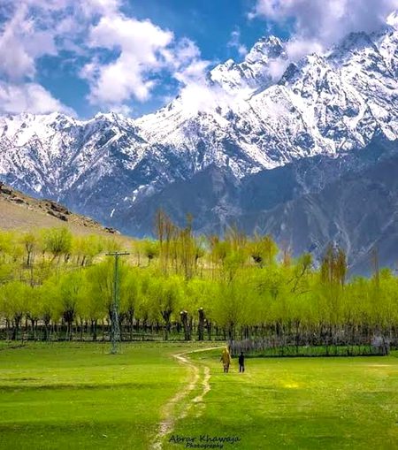 Beautiful Nature image