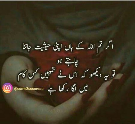 Islamic Quotes image