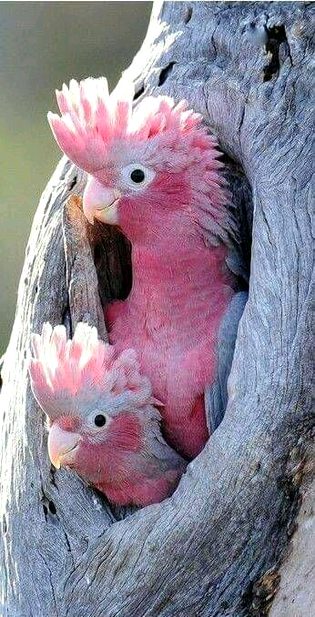 Beautiful Nature image