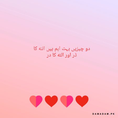 Islamic Quotes image