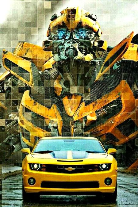 Bumblebee💛