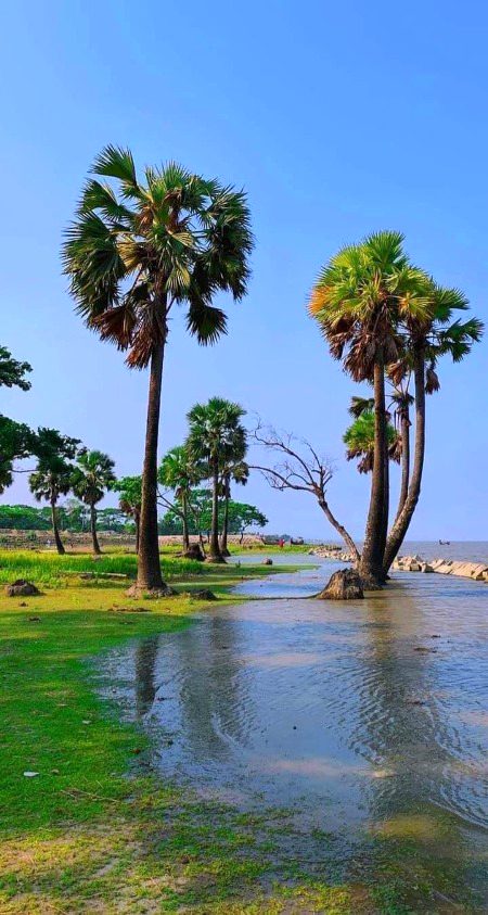 Beautiful Nature image
