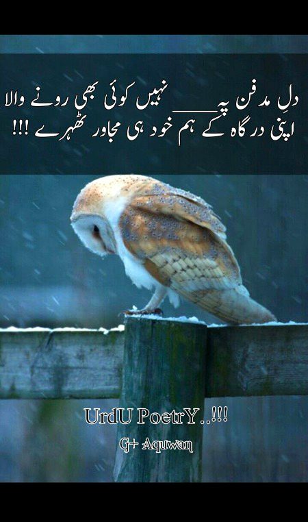 Sad Poetry image