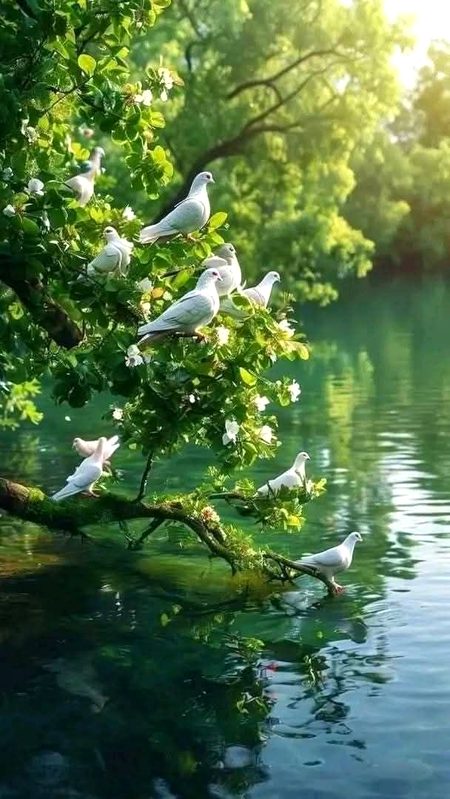 Beautiful Nature image