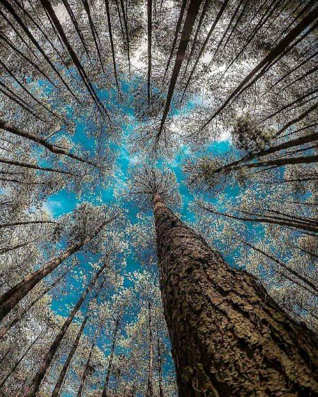 Beautiful Nature image