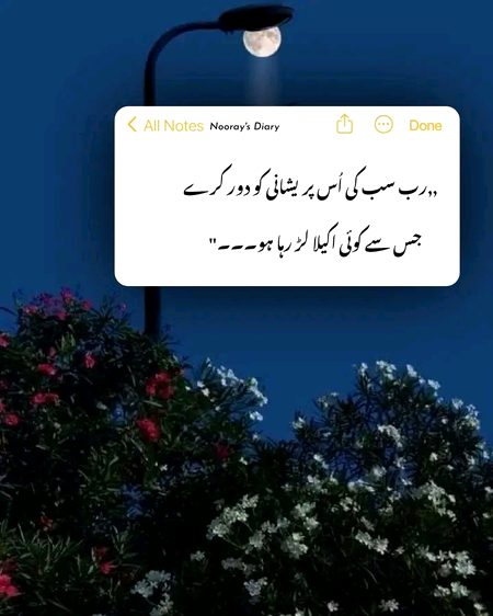Ameen🌸✨
