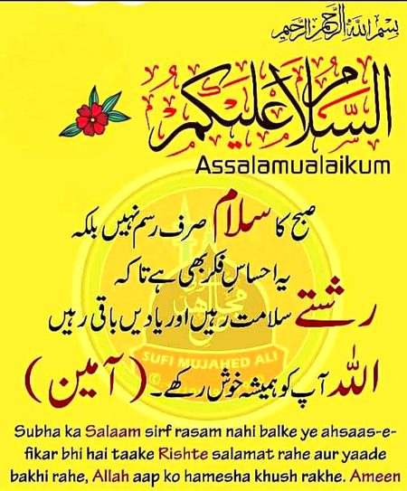 Aslam o 💖Alekum
